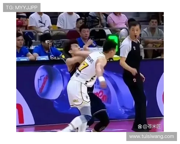 北京篮球队技术争议引发热议球迷与专家观点交锋分析